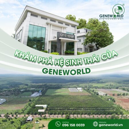 Công ty TNHH Thế Giới Gen